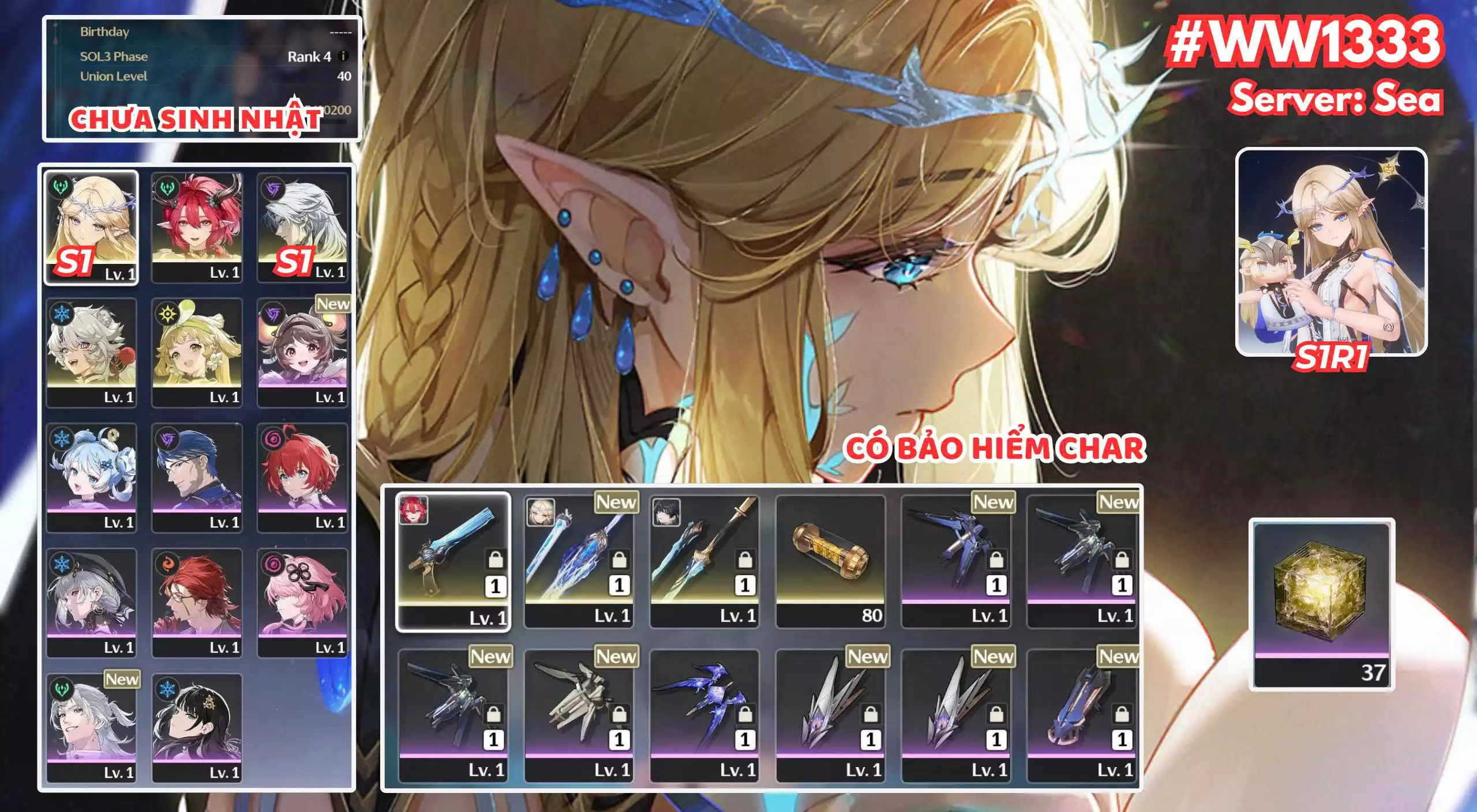 [ ACC VIP ] WW1333 CIACCONA  + CARTETHYIA  R0A1
